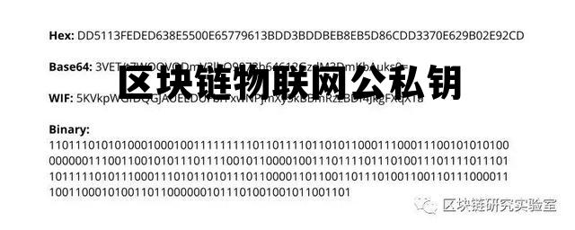 区块链的公钥和私钥是什么 区块链物联网公私钥 区块链的公钥和私钥是什么 区块链物联网公私钥